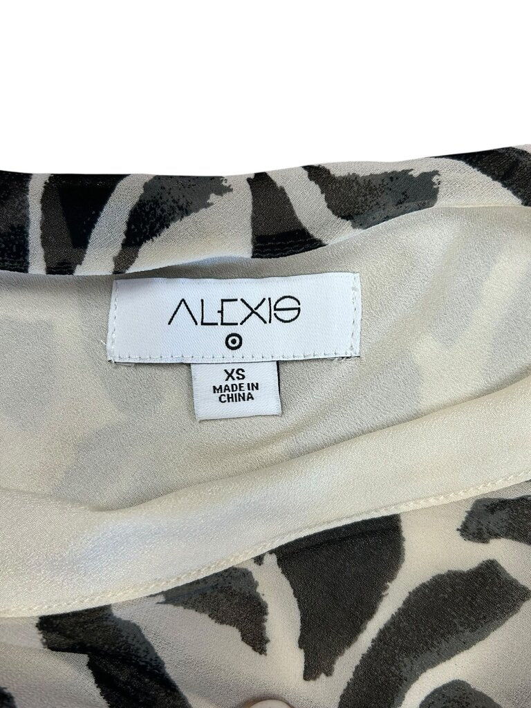 Alexis Floral Print Dress