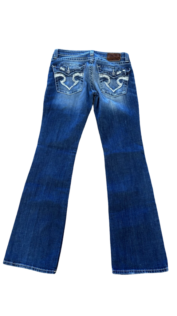 Size 29L- Big Star Women's Blue Flare Jeans