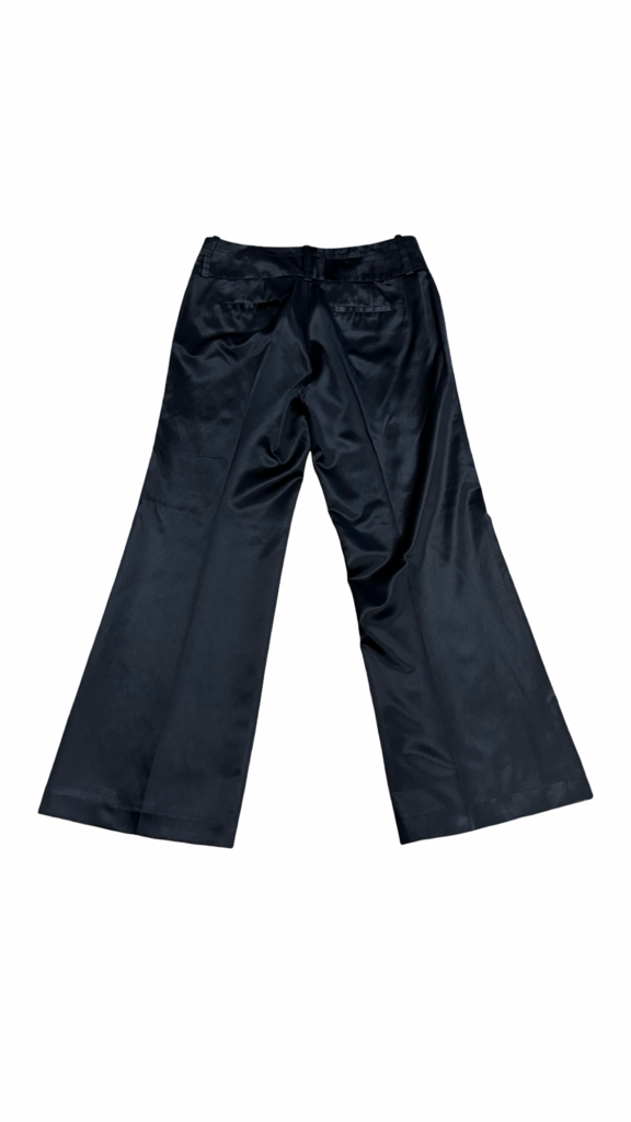 SIZE 10P Banana Republic Ryan Fit Black Pants