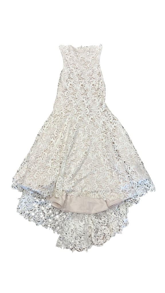 Size 10 Elegant Lace Gown