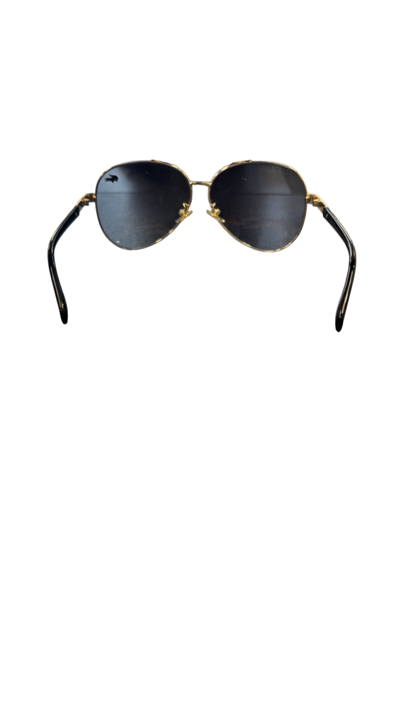 Lacoste Gold and Black Sunglasses
