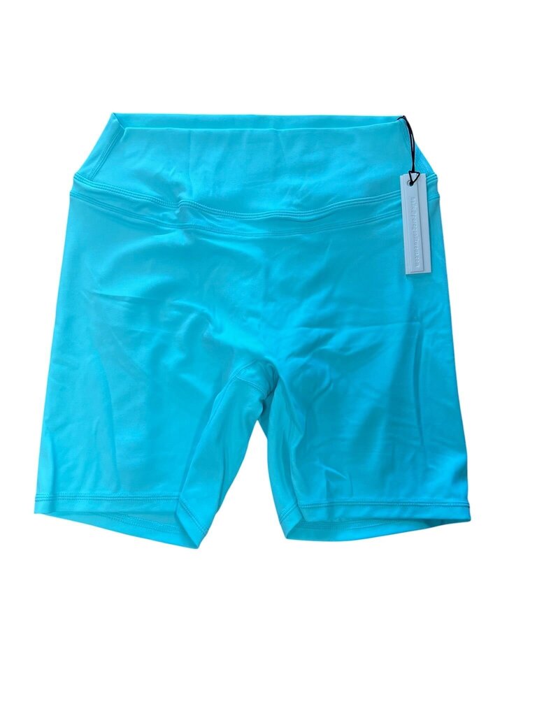 Large Paragon Women's Aqua Blue Stretch Shorts