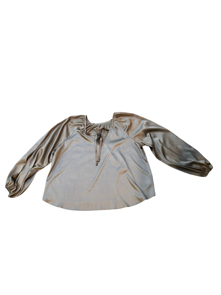 Large Silky Long Sleeve Blouse