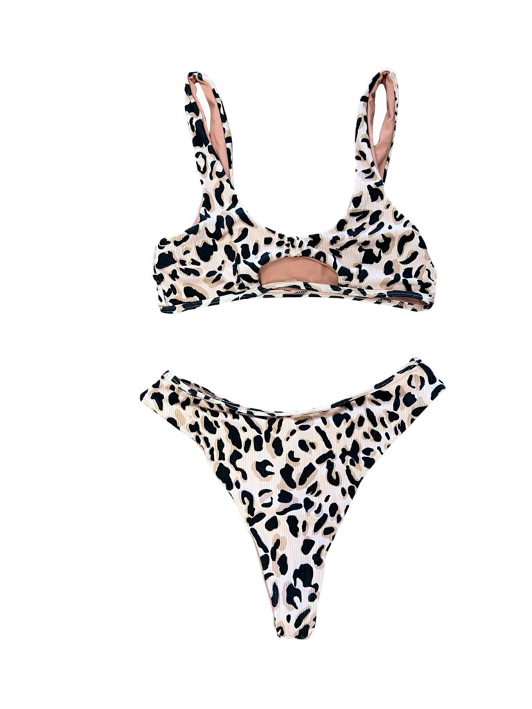 Small Leopard Print Bikini Set