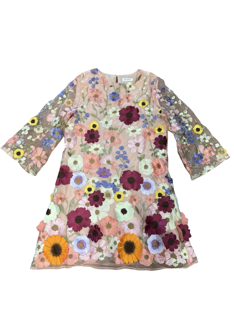 Medium Storia Floral Embroidered Dress