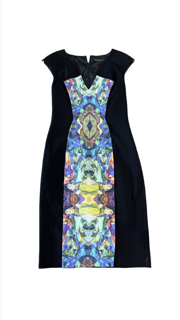 Size 10 Black Halo Cap Sleeve Dress with Colorful Center Panel