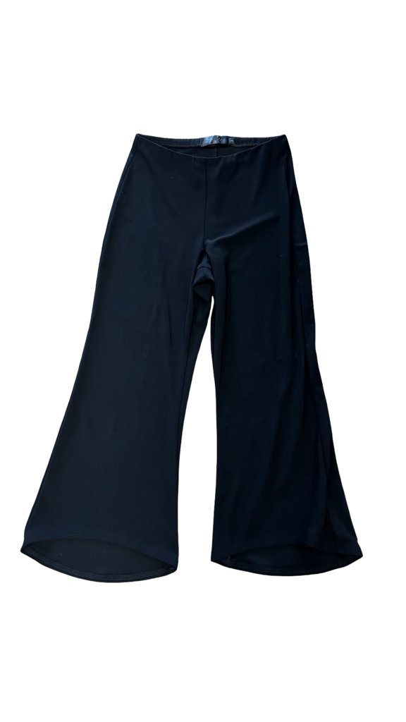 Size 2 Sympli Black Wide Leg Pants