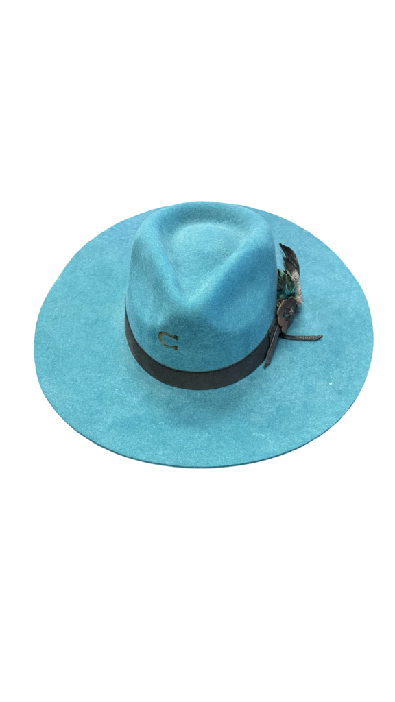 Medium Charlie Horse Teal Wide Brim Hat with Feather Accent