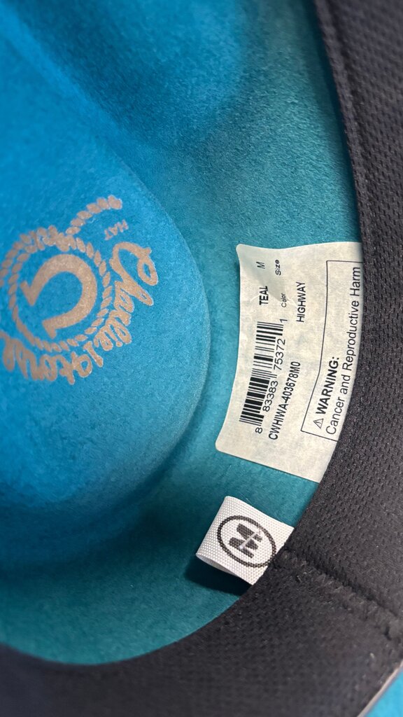 Medium Charlie Horse Teal Wide Brim Hat with Feather Accent