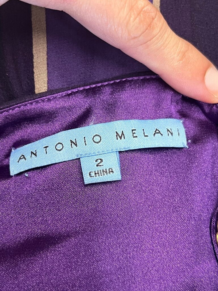 Antonio Melani Purple Maxi Dress